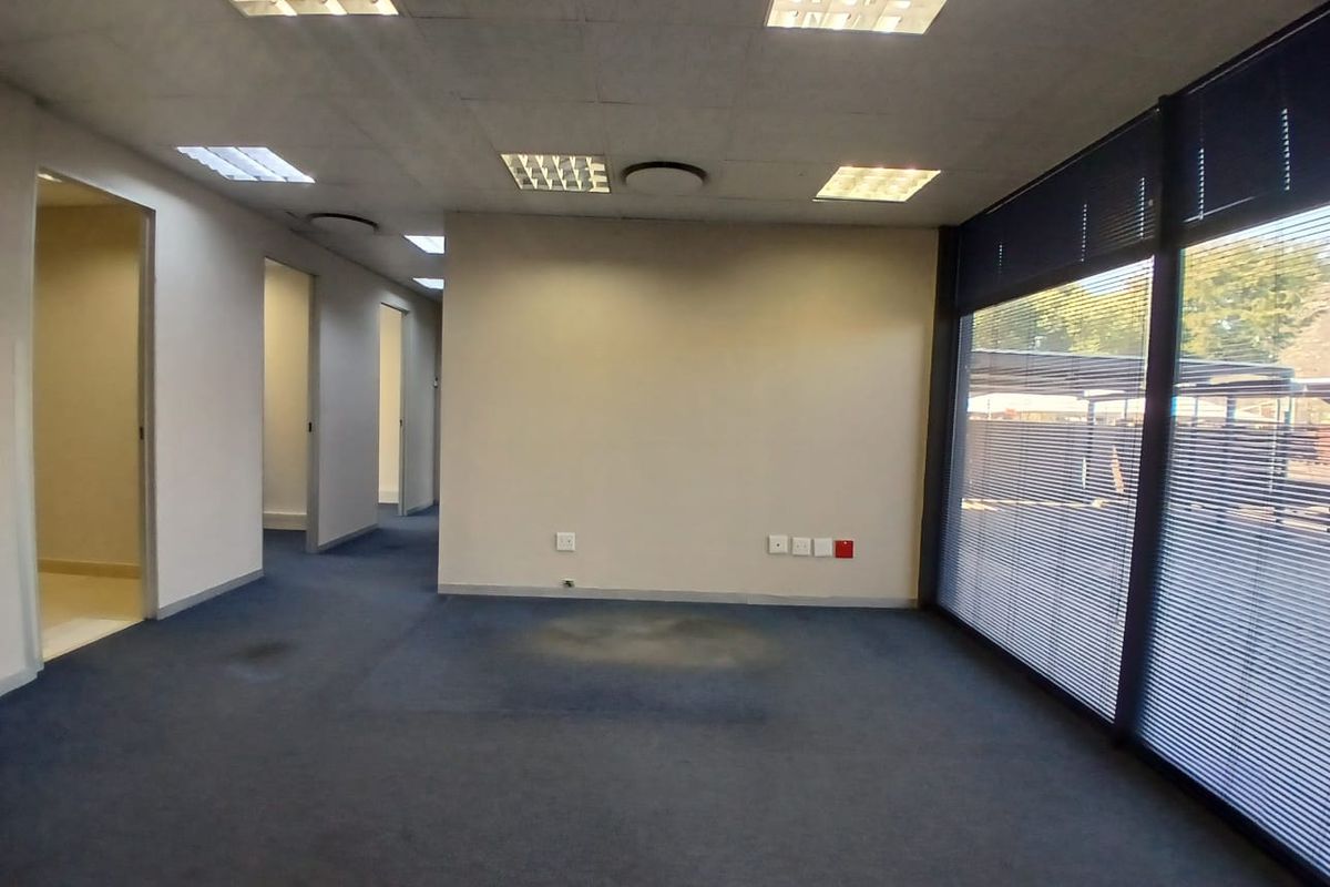 An empty office space featuring a suspended ceiling, recessed lighting, and large windows with venetian blinds, requiring carpet replacement.