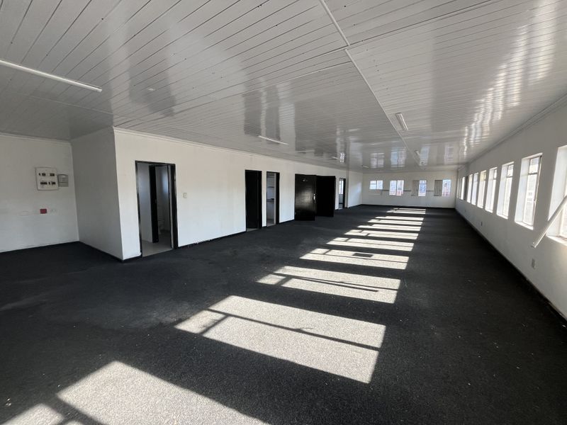 Spacious, open-plan office area featuring a suspended ceiling, carpeted flooring, and abundant natural light through multiple windows.