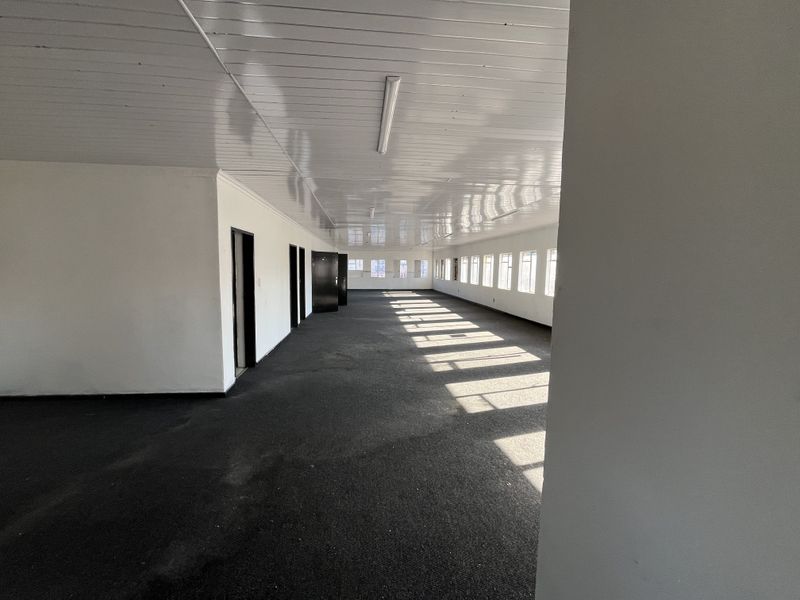A spacious, empty office area featuring carpeted flooring, multiple windows for natural light, and a glossy panelled ceiling.
