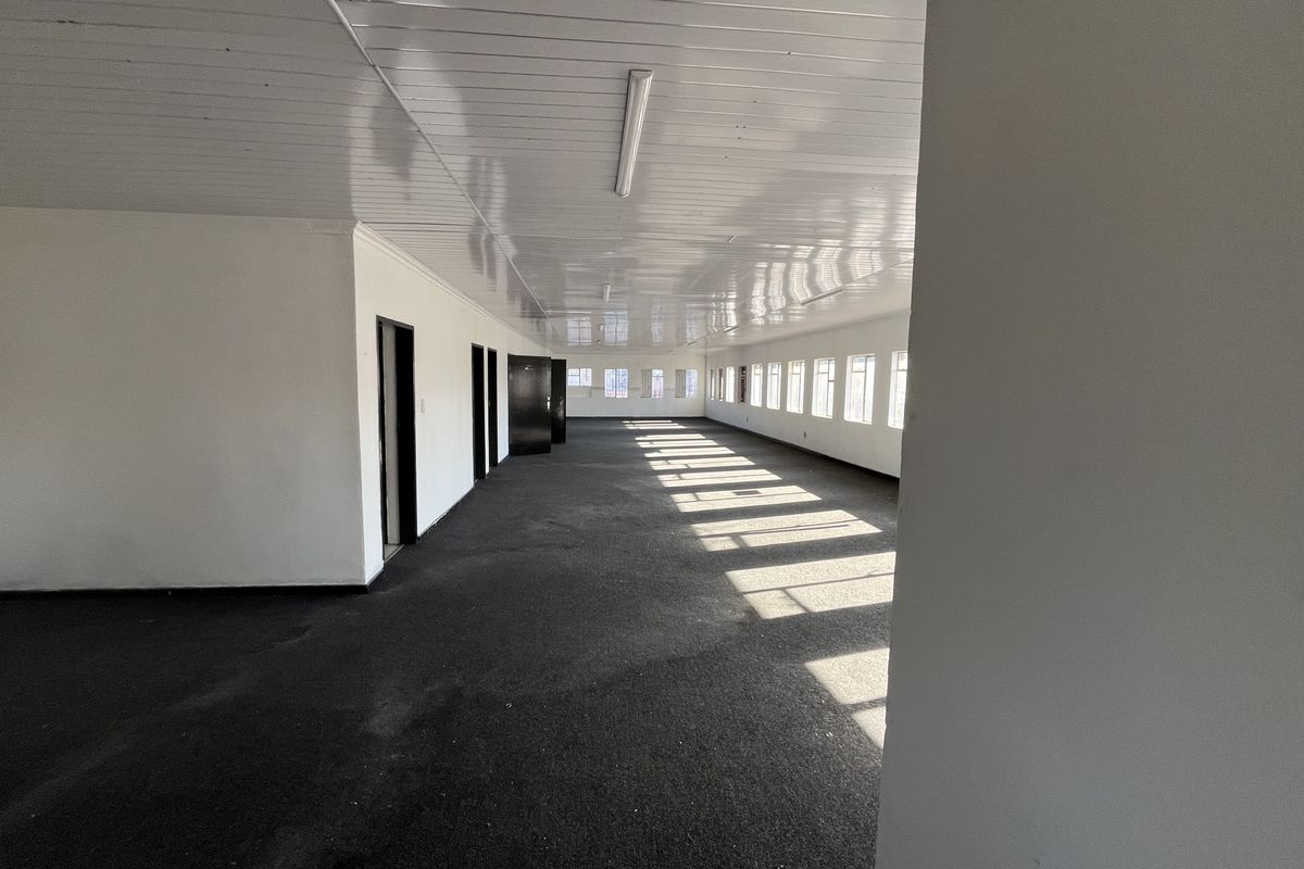 A spacious, empty office area featuring carpeted flooring, multiple windows for natural light, and a glossy panelled ceiling.