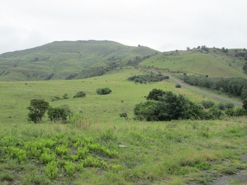 A scenic view of the expansive farm landscape featuring rolling green hills and a dirt access road.
