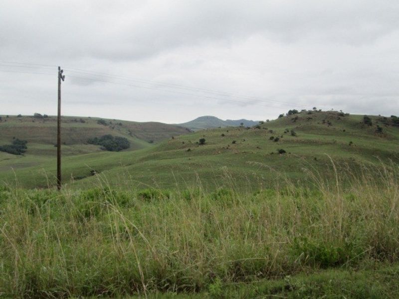 A scenic view of rolling green hills and open farmland under a cloudy sky, featuring a utility pole and overhead power lines.