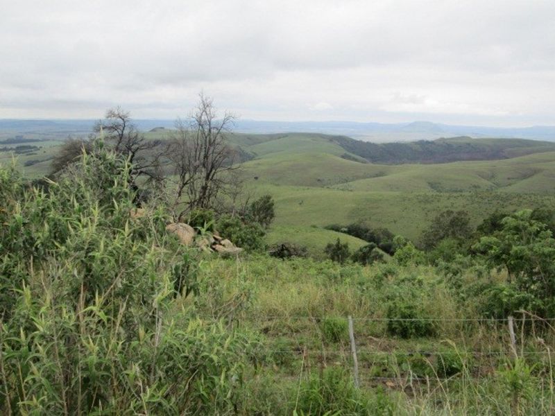 Expansive landscape view overlooking rolling green hills and natural terrain on the farm property.