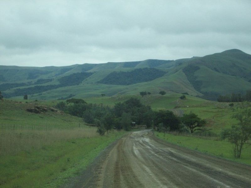 A view of a rural dirt access road leading through open farmland towards rolling green hills.