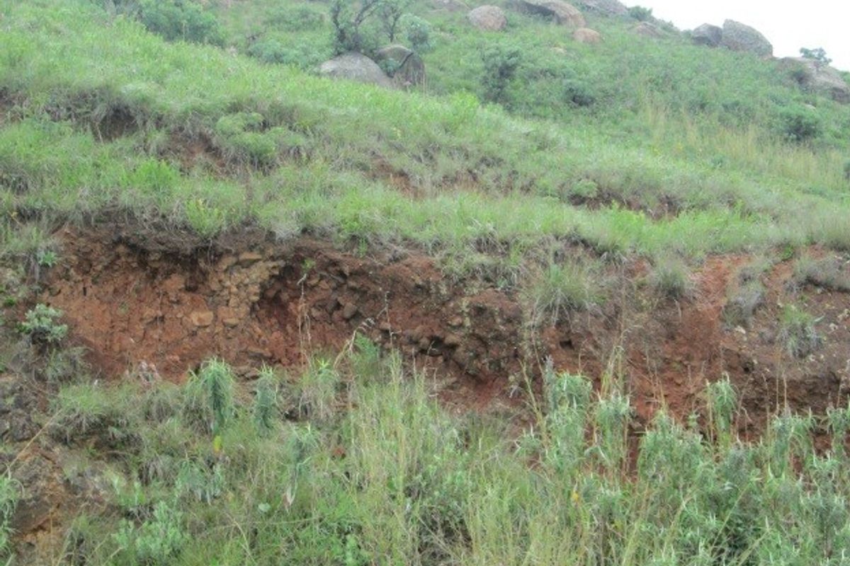 A view of the natural farm landscape featuring rocky terrain and visible soil erosion on the hillside.