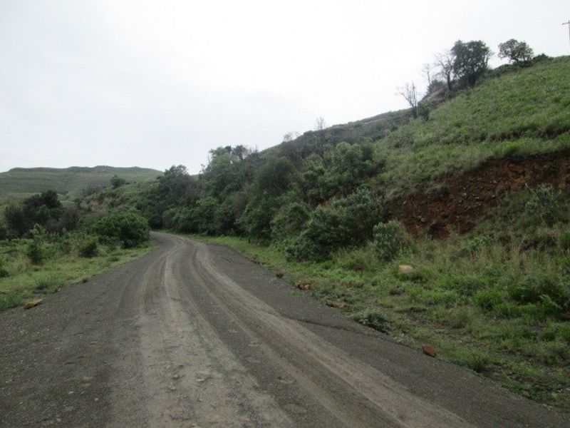 A view of a gravel access road winding through the sloped, natural landscape of the farm property.