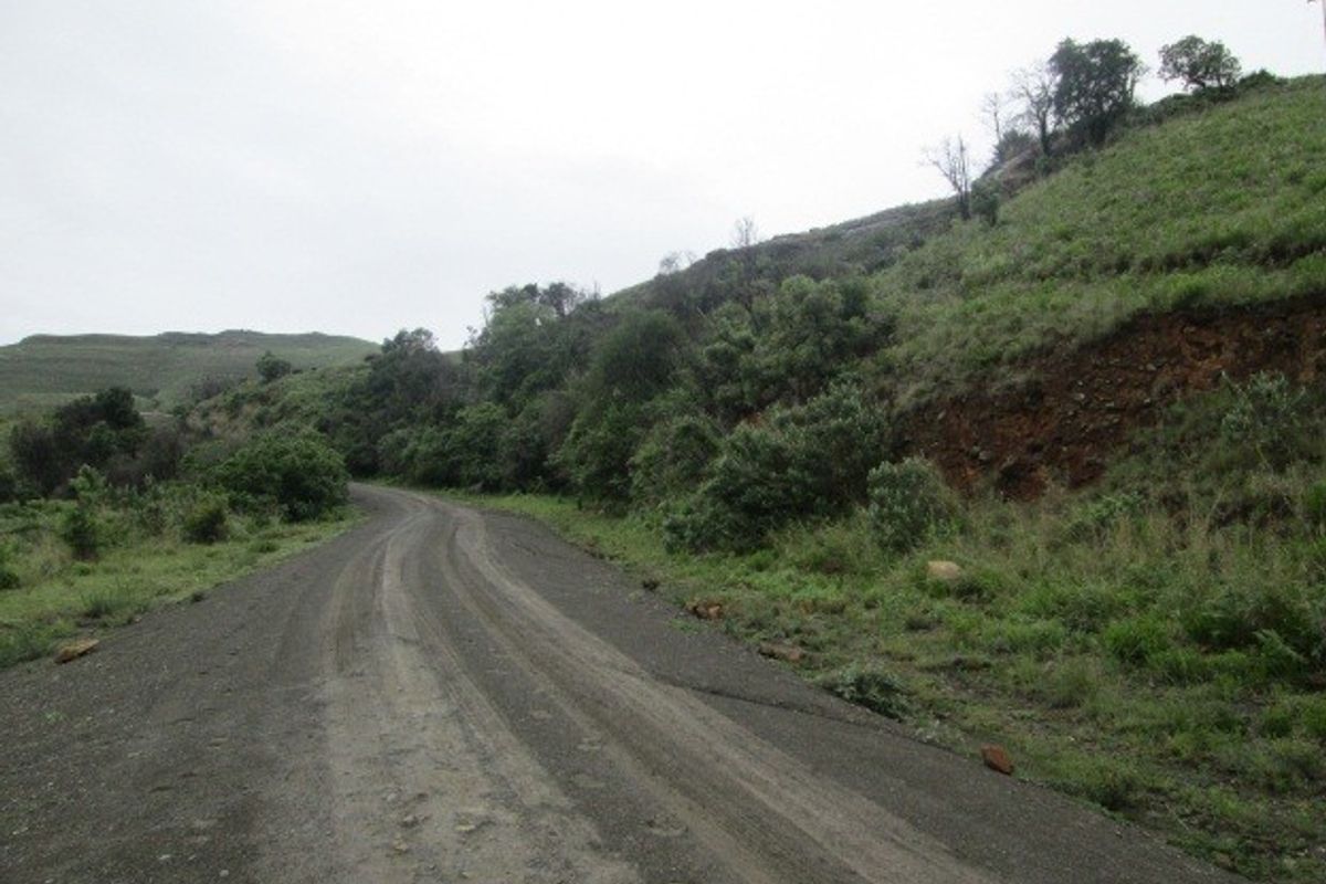 A view of a gravel access road winding through the sloped, natural landscape of the farm property.