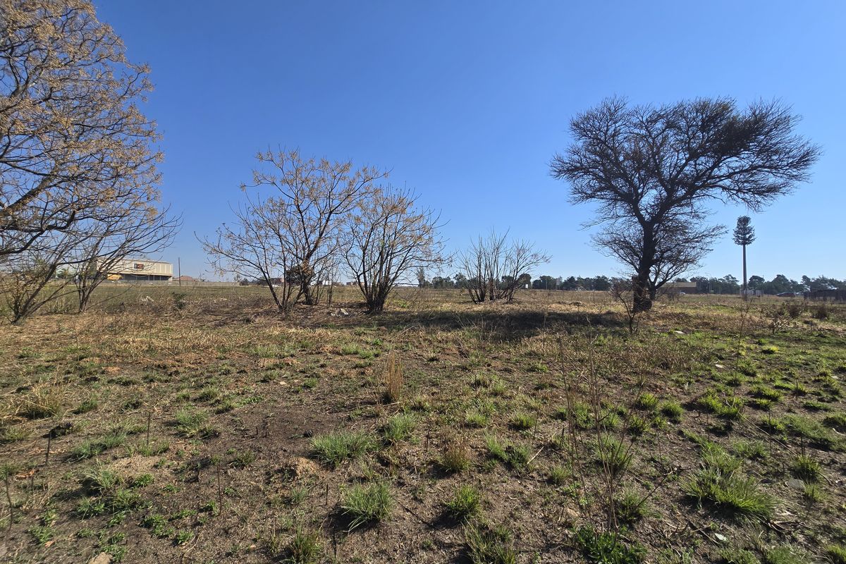 A wide-angle view of an undeveloped commercial land plot featuring natural vegetation and open space under a clear blue sky.