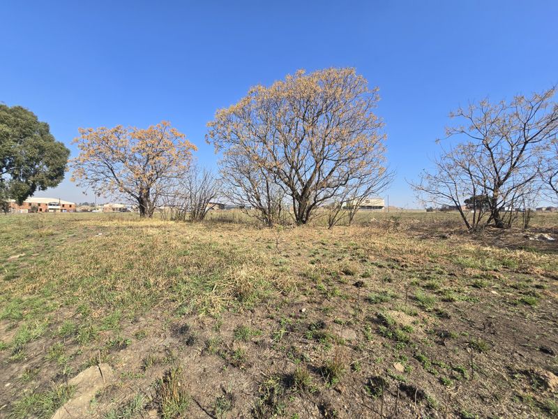 A view of an open, undeveloped commercial land plot featuring mature trees and natural grass coverage.