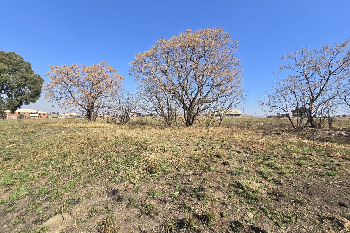 A view of an open, undeveloped commercial land plot featuring mature trees and natural grass coverage.