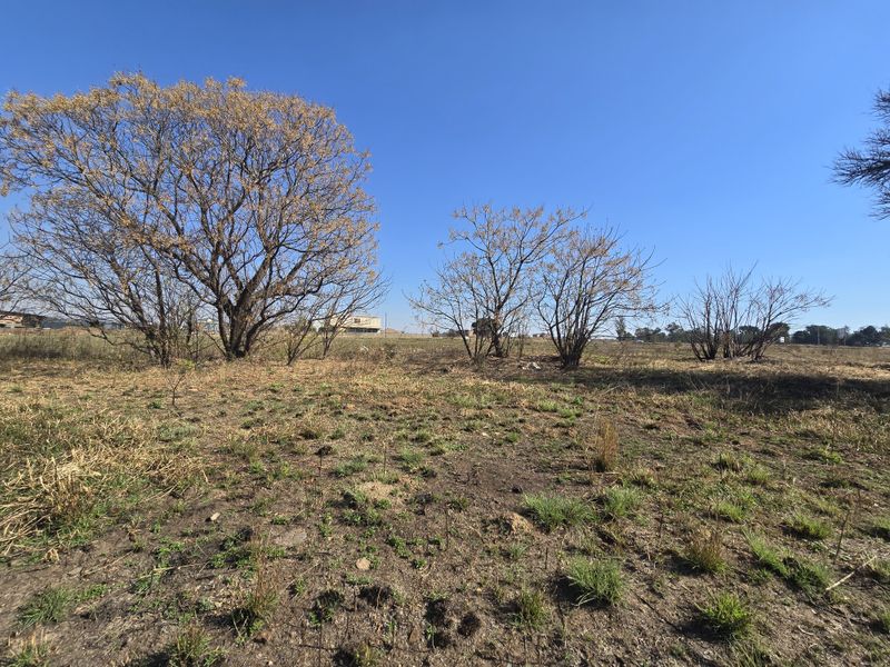 A view of the vacant commercial land featuring natural vegetation and mature trees under a clear blue sky.