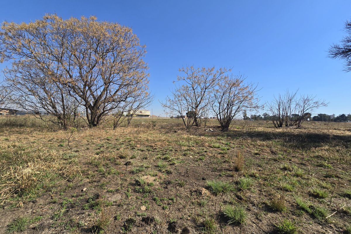 A view of the vacant commercial land featuring natural vegetation and mature trees under a clear blue sky.