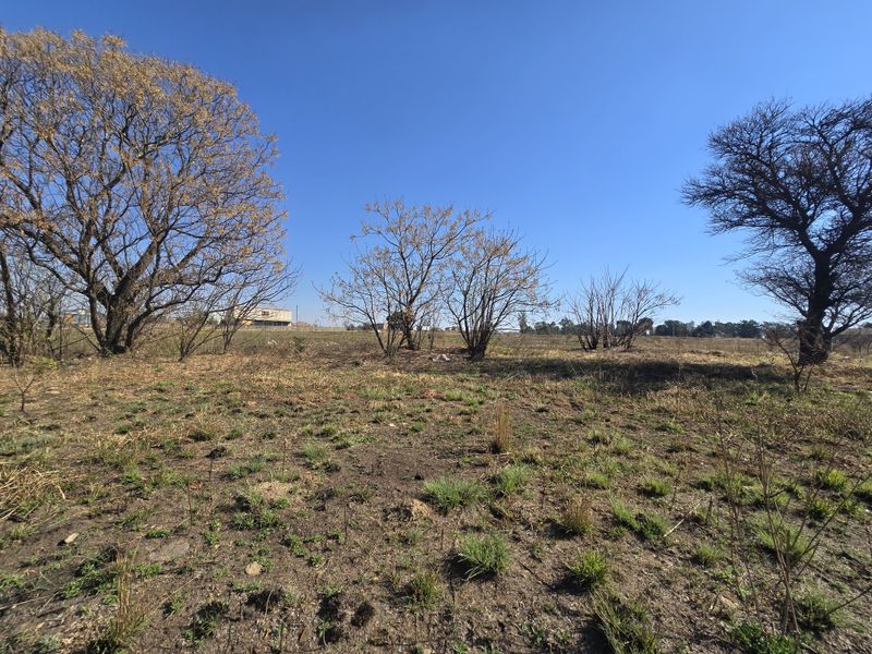 A view of an undeveloped commercial vacant land plot featuring natural vegetation and mature trees under a clear blue sky.