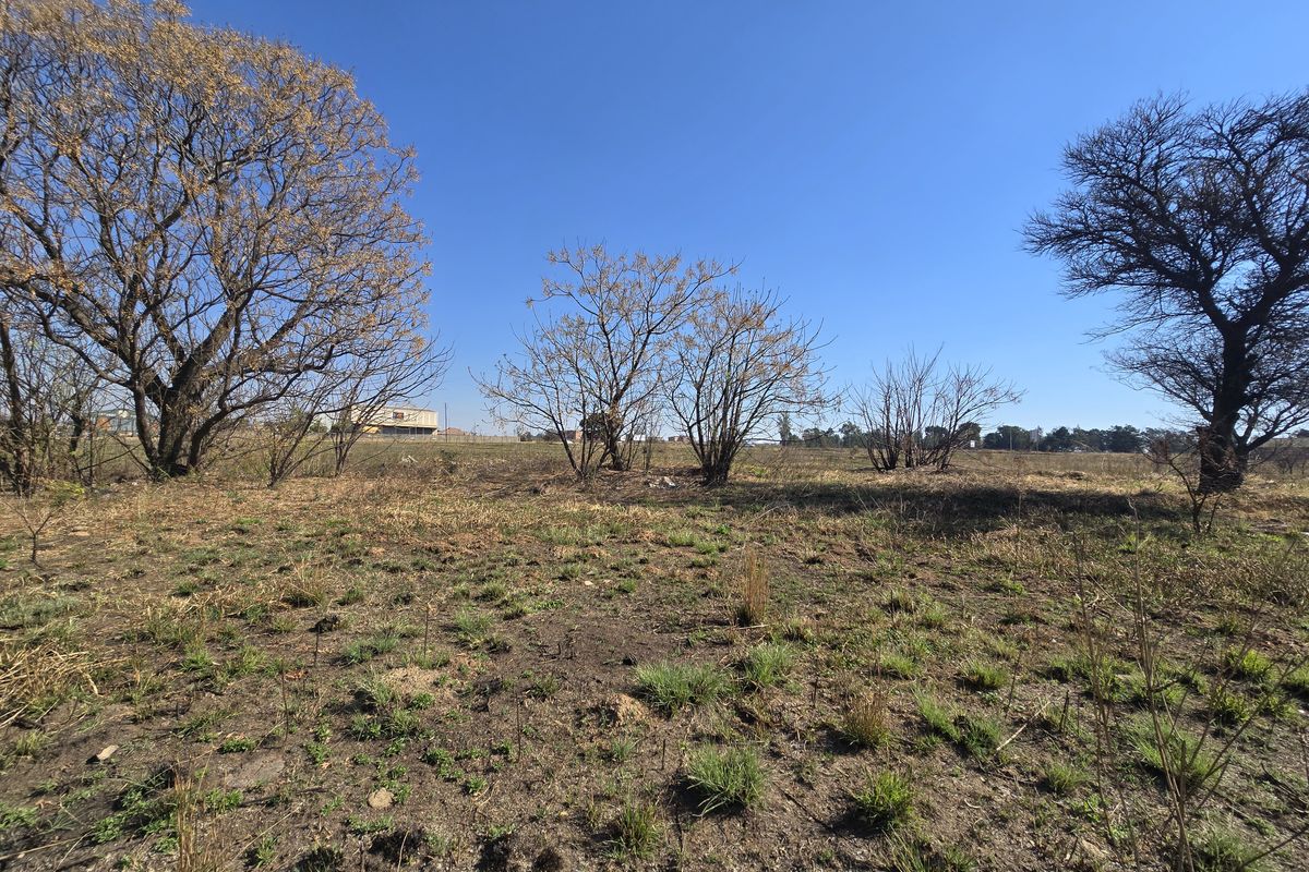A view of an undeveloped commercial vacant land plot featuring natural vegetation and mature trees under a clear blue sky.