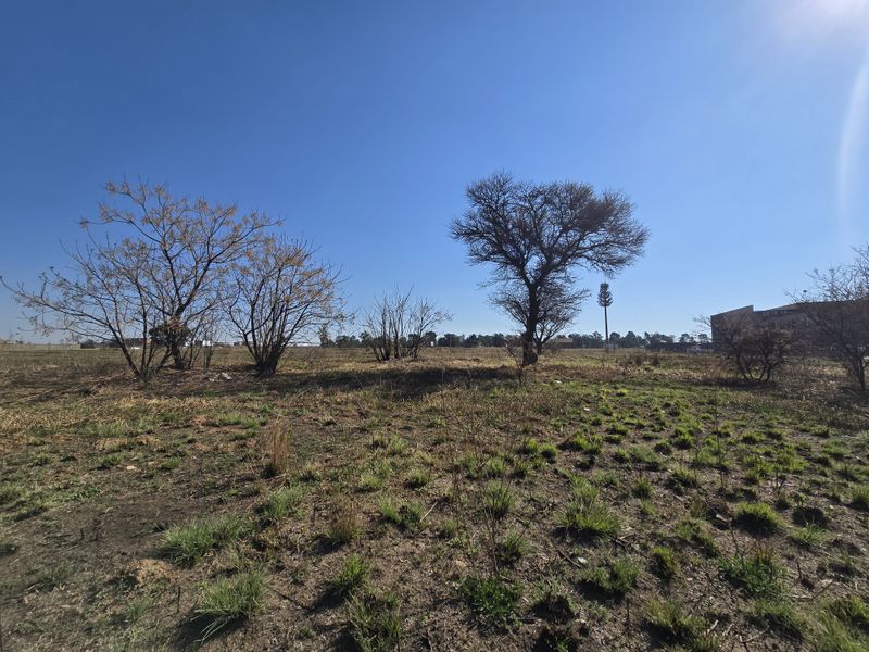 A view of a vacant commercial plot featuring natural vegetation and mature trees, offering a blank canvas for future development.