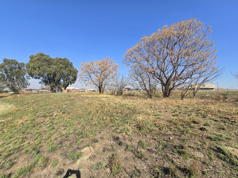 A view of an undeveloped commercial vacant land plot featuring natural vegetation and mature trees under a clear blue sky.