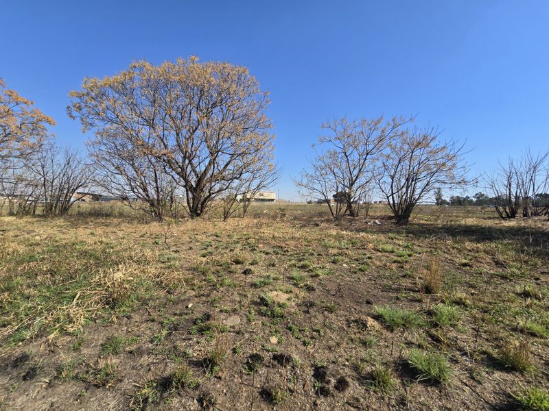 A view of the vacant commercial land featuring natural vegetation and mature trees under a clear blue sky.