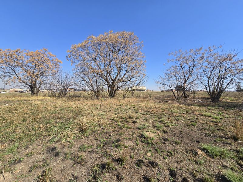 A view of an undeveloped commercial land plot featuring mature trees and natural vegetation under a clear blue sky.