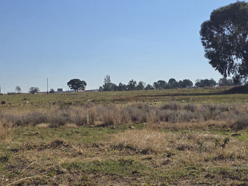 A wide-angle view of a vacant commercial land plot featuring natural grassland and mature trees under a clear sky.