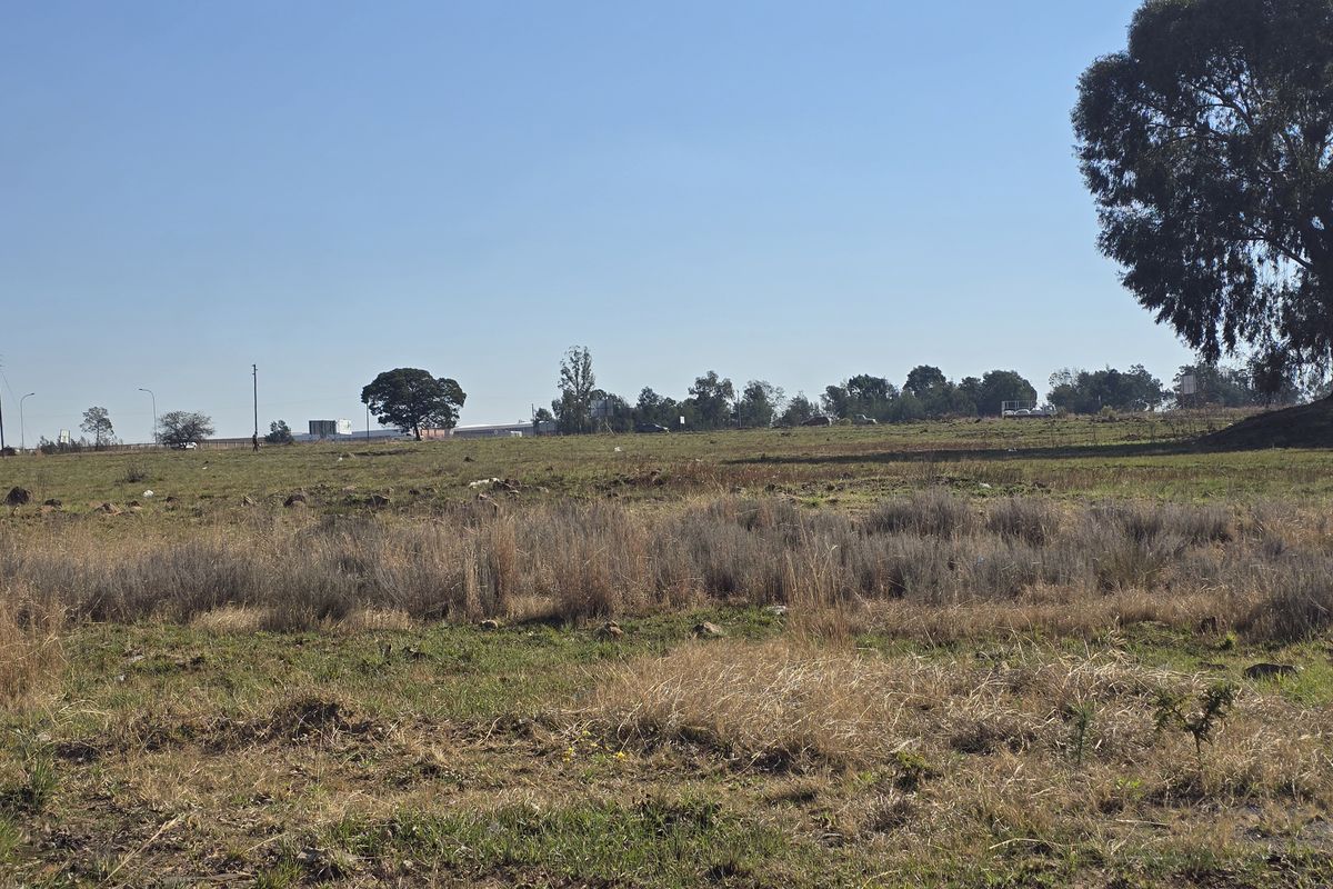 A wide-angle view of a vacant commercial land plot featuring natural grassland and mature trees under a clear sky.