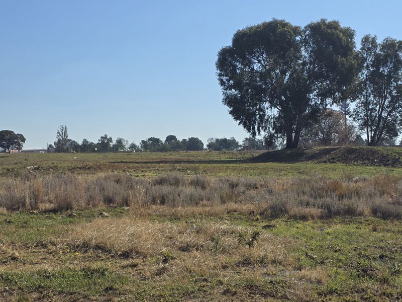 A wide-angle view of a vacant commercial land plot featuring natural grass cover and mature trees.