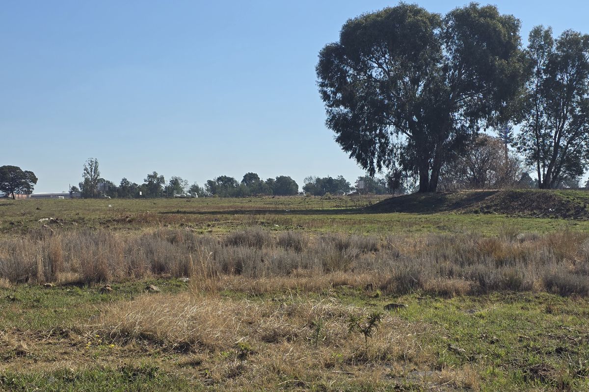 A wide-angle view of a vacant commercial land plot featuring natural grass cover and mature trees.