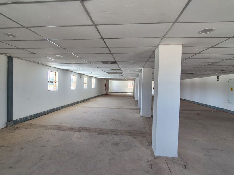 A large, open-plan office space featuring a suspended ceiling, structural support columns, and basic utility infrastructure, ready for custom fit-out.