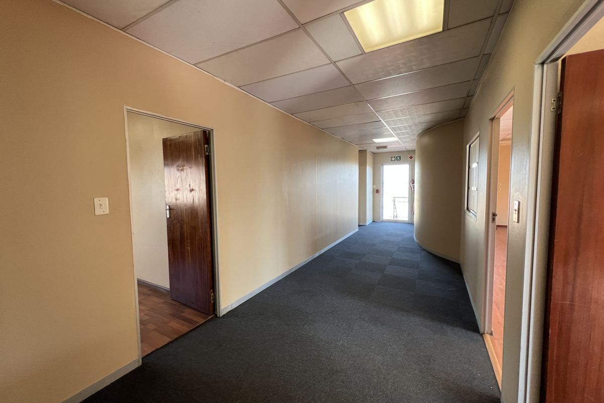 A spacious office hallway featuring a suspended ceiling, recessed lighting, and carpeted flooring, providing access to multiple office rooms.