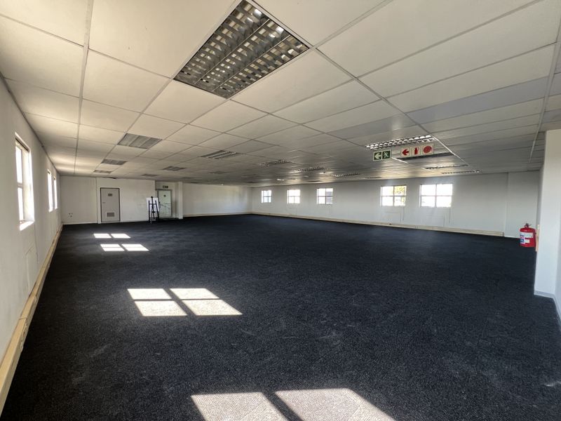 A spacious, open-plan office area featuring a suspended ceiling, recessed lighting, and dark carpeting, providing a versatile workspace ready for custom configuration.