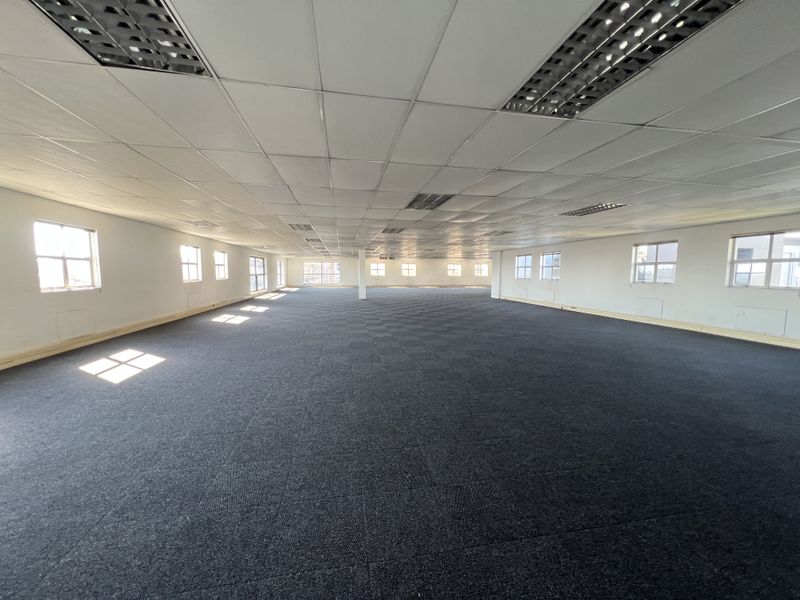 A spacious, open-plan office area featuring a suspended ceiling with recessed lighting and dark carpet tiles, offering a clean and versatile workspace.