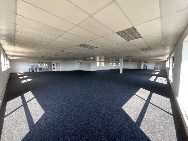 A large, open-plan office space featuring a suspended ceiling, recessed lighting, and dark carpeting, offering a versatile layout for various business configurations.