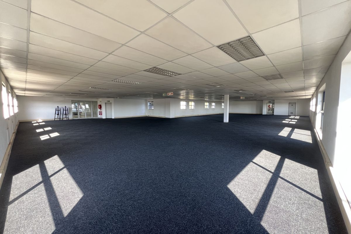 A large, open-plan office space featuring a suspended ceiling, recessed lighting, and dark carpeting, offering a versatile layout for various business configurations.