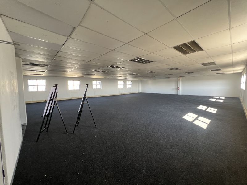 A large, open-plan office space featuring a suspended ceiling with recessed lighting and dark carpeting, offering a blank canvas for professional workspace configuration.