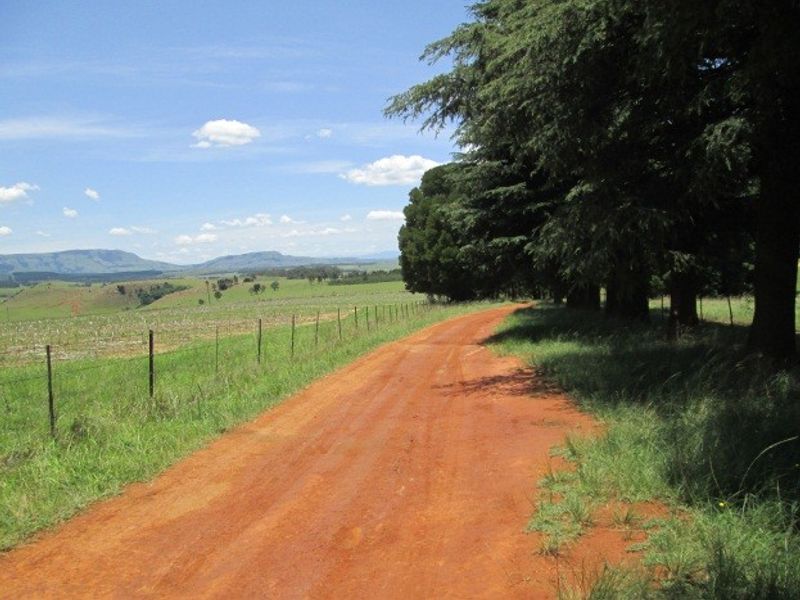 A scenic view of a rural dirt road winding through open farmland with mature trees and distant mountain ranges.