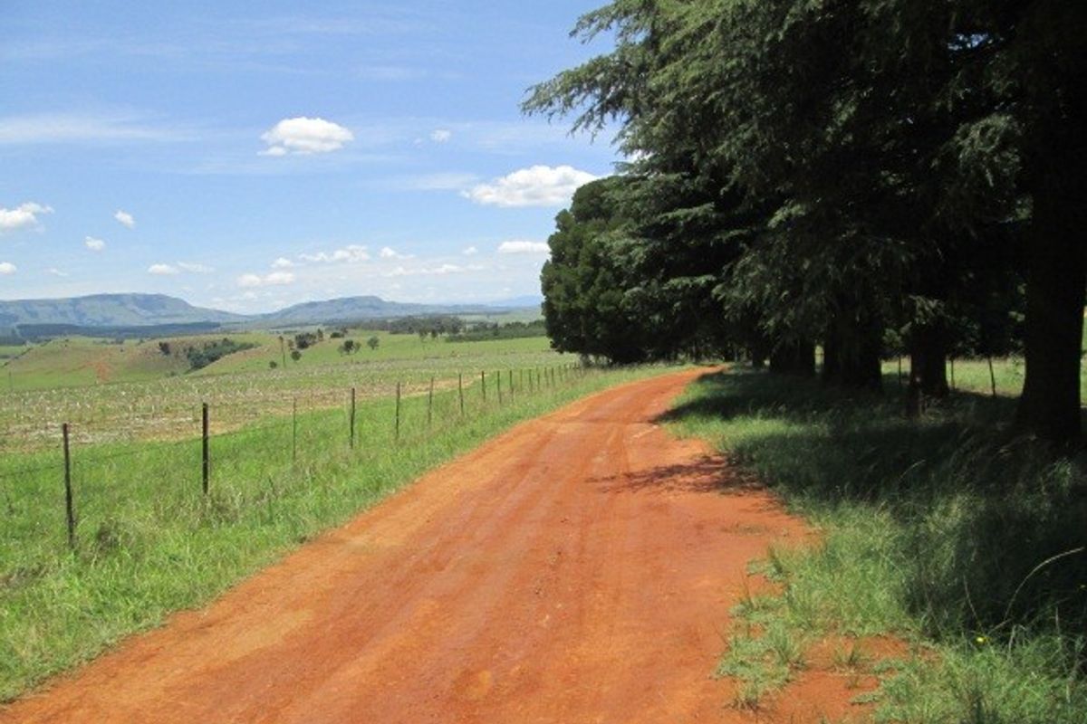 A scenic view of a rural dirt road winding through open farmland with mature trees and distant mountain ranges.