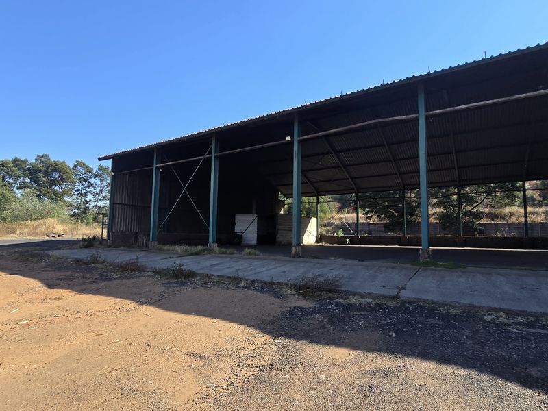 Large open-sided industrial storage shed featuring a corrugated metal roof, steel support structure, and concrete flooring, suitable for various industrial or storage applications.