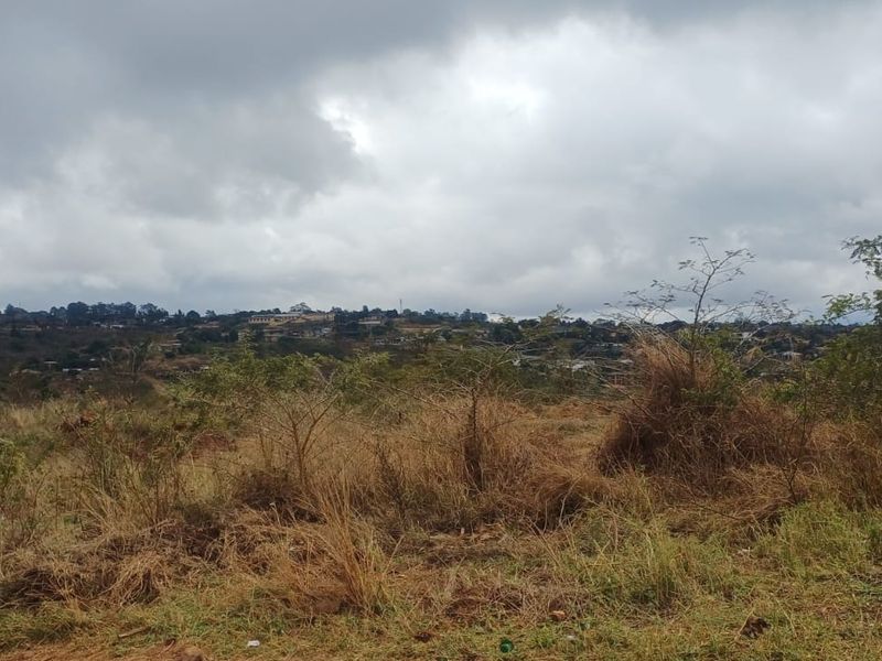 A wide-angle view of an undeveloped commercial land plot featuring natural vegetation and distant suburban landscape under a cloudy sky.