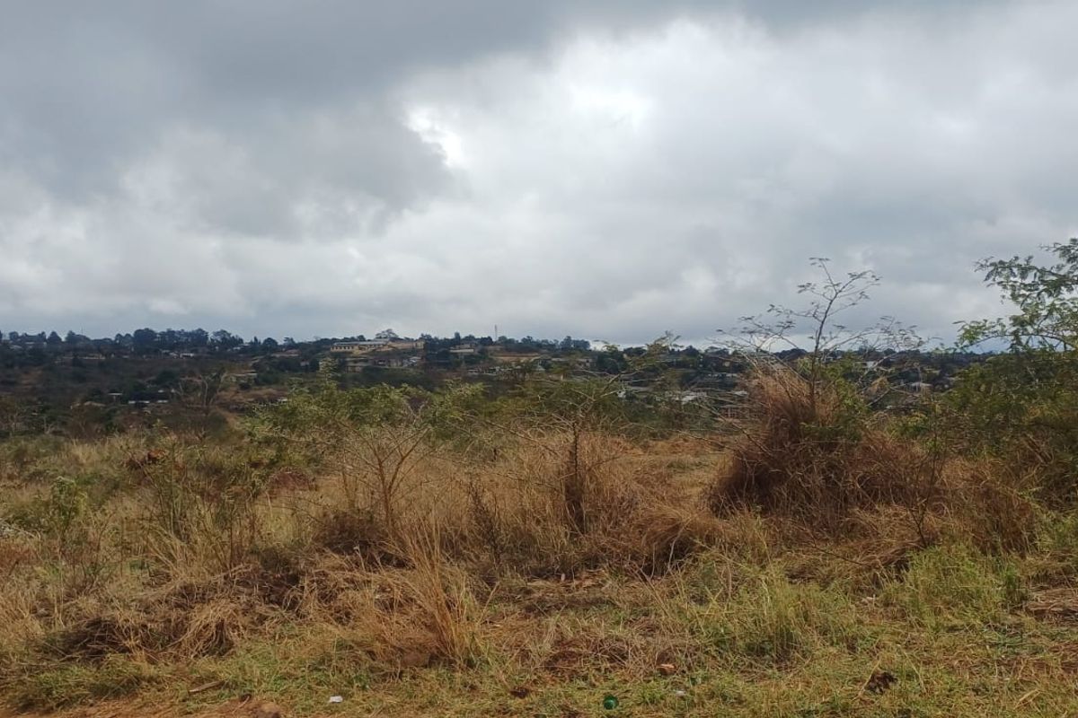 A wide-angle view of an undeveloped commercial land plot featuring natural vegetation and distant suburban landscape under a cloudy sky.