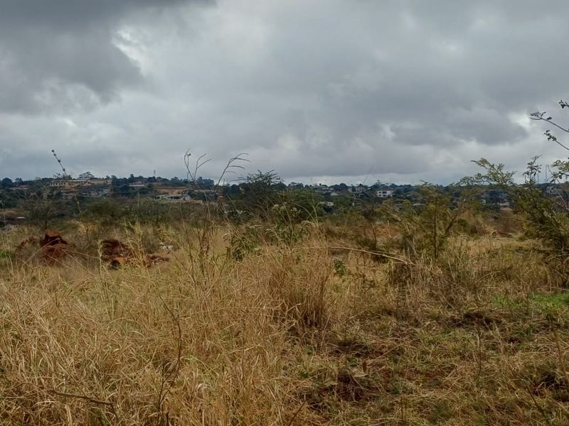 A view of an undeveloped commercial land plot featuring natural vegetation and surrounding landscape.