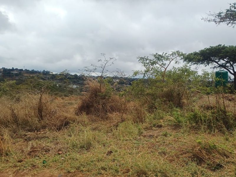 A view of the vacant commercial land featuring natural vegetation and a water tank, with surrounding landscape visible in the background.