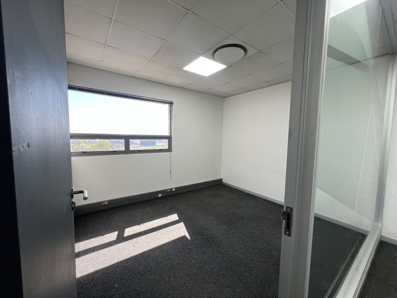 A clean, empty office space featuring a suspended ceiling, recessed lighting, carpeted flooring, and a glass partition wall with natural light.