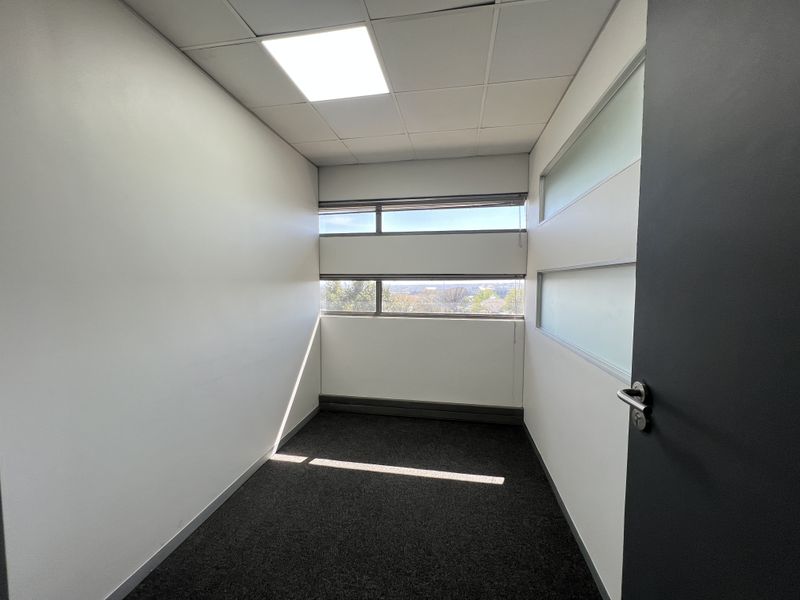 A clean, empty office space featuring a suspended ceiling, recessed lighting, carpeted flooring, and horizontal windows providing natural light.