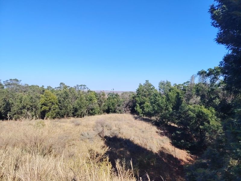 A scenic view of the expansive farm landscape featuring natural vegetation, rolling terrain, and mature trees under a clear blue sky.