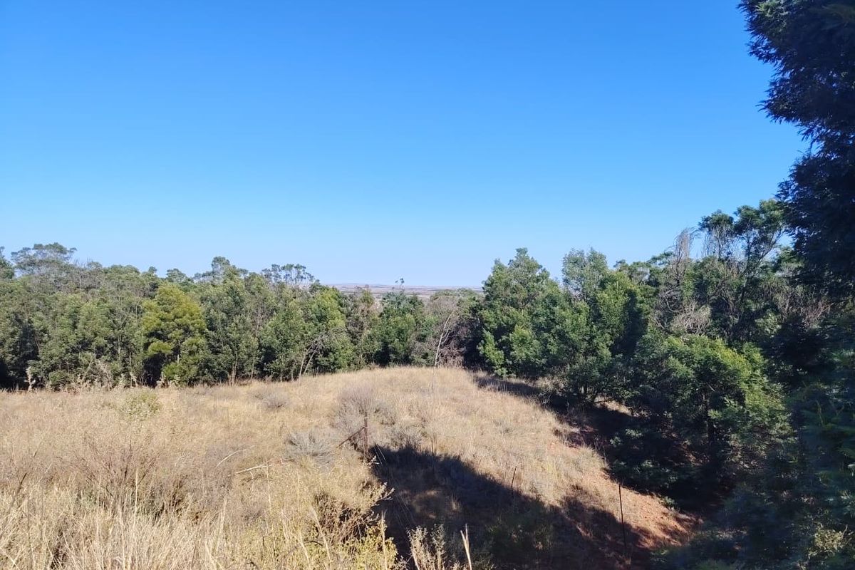 A scenic view of the expansive farm landscape featuring natural vegetation, rolling terrain, and mature trees under a clear blue sky.