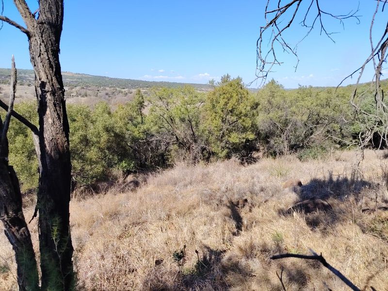A scenic view of the natural landscape featuring rolling hills, native trees, and dry grassland on the farm property.