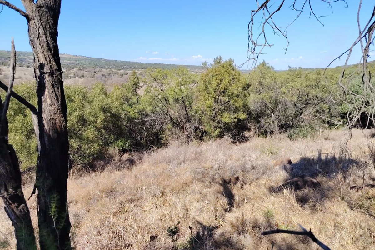 A scenic view of the natural landscape featuring rolling hills, native trees, and dry grassland on the farm property.