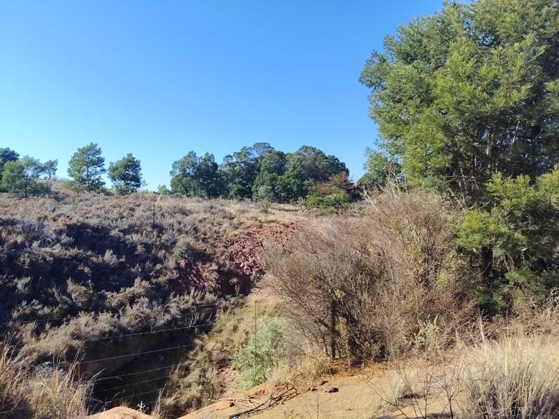 A scenic view of the natural farm landscape featuring rolling terrain, native vegetation, and established trees under a clear blue sky.