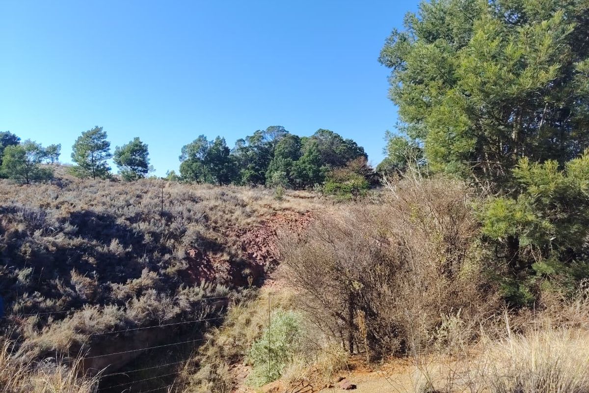 A scenic view of the natural farm landscape featuring rolling terrain, native vegetation, and established trees under a clear blue sky.