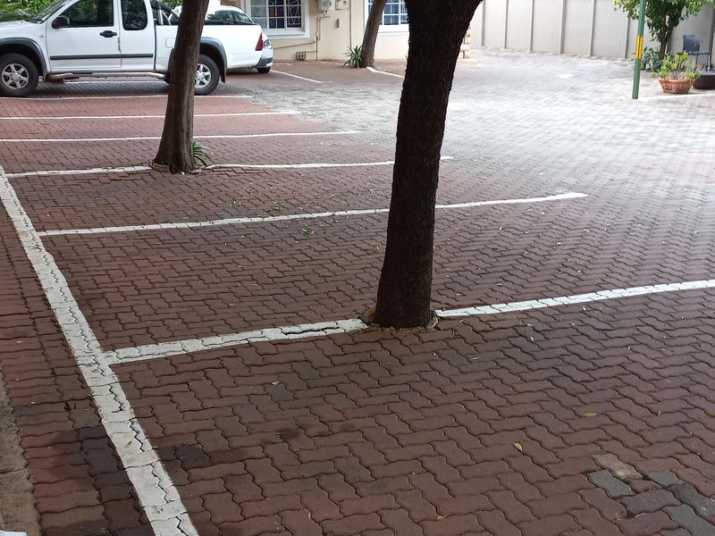 Paved office parking area with marked bays, mature trees, and boundary walling.