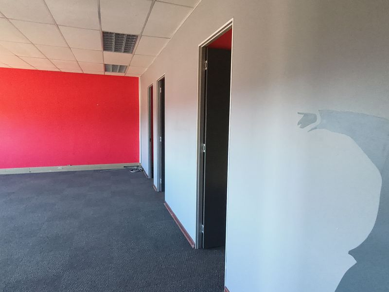An empty office space featuring a suspended ceiling, recessed lighting, carpet flooring, and multiple internal doorways with a prominent red accent wall.